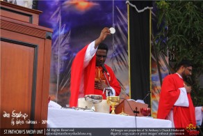Good Friday of the passion of the Lord.- 2016