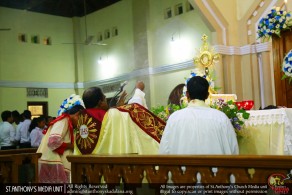 Celebrate the 100th Anniversary of Our Lady of Fatima - 2017