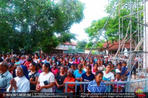 Hoisting of Flags Staff - 2017