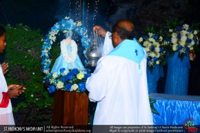 Feast of Mother Mary - 2017