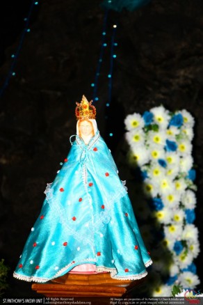 Feast of Mother Mary - 2016