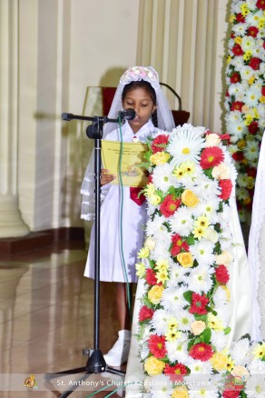 First Holy Communion - 2019