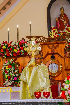 Annual feast Indibedda  2018