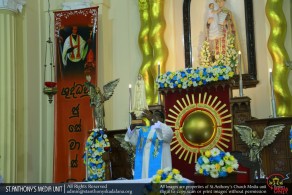 Celebrate the 100th Anniversary of Our Lady of Fatima - 2017