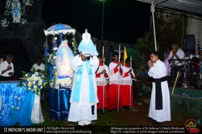 Feast of Mother Mary - 2017