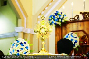 Celebrate the 100th Anniversary of Our Lady of Fatima - 2017