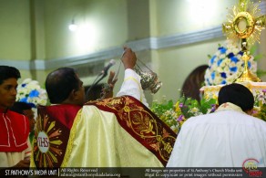 Celebrate the 100th Anniversary of Our Lady of Fatima - 2017