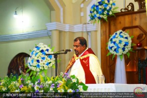 Celebrate the 100th Anniversary of Our Lady of Fatima - 2017