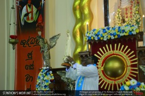 Celebrate the 100th Anniversary of Our Lady of Fatima - 2017