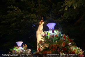 Celebrate the 100th Anniversary of Our Lady of Fatima - 2017